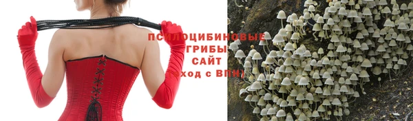 спайс Алексин