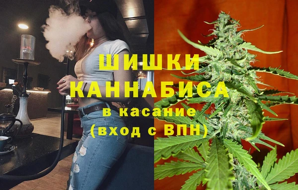 спайс Алексин